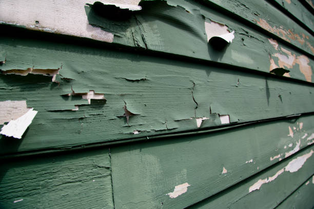Best Brick Veneer Siding  in Princeton, NJ