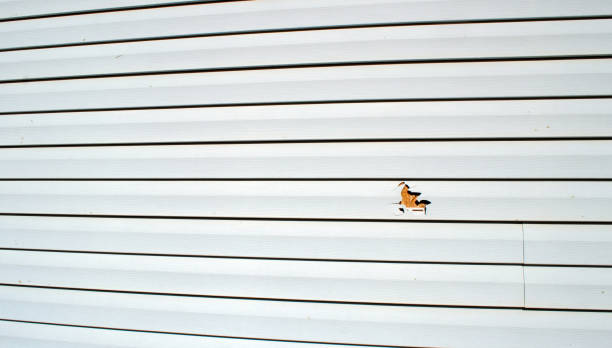 Best Fascia and Soffit Installation  in Princeton, NJ