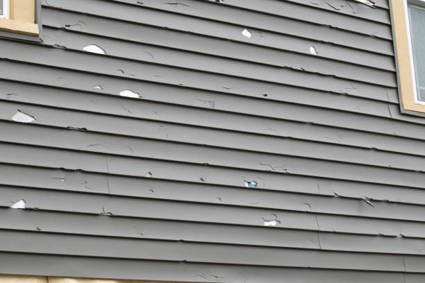 Best Composite Siding  in Princeton, NJ