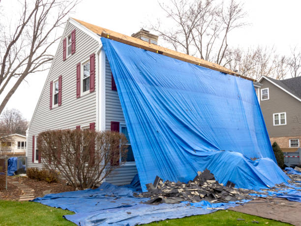 Best Siding Removal and Disposal  in Princeton, NJ