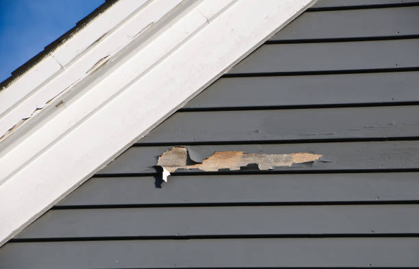 Best Siding Maintenance  in Princeton, NJ