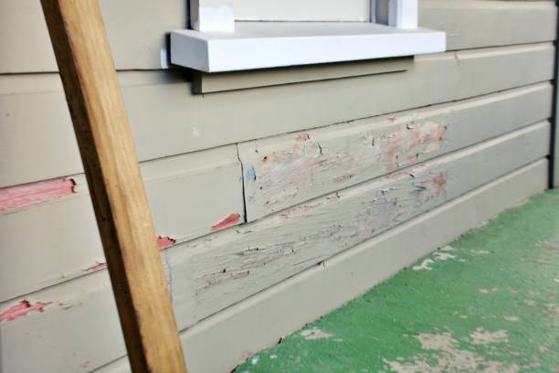 Best Residential Vinyl Siding Installation  in Princeton, NJ