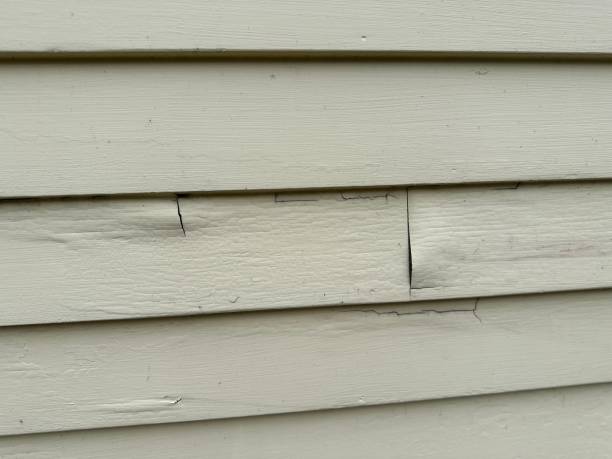 Best Historical Building Siding Restoration  in Princeton, NJ